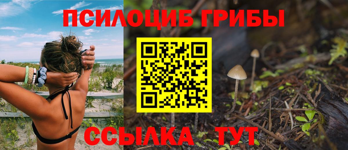 Хабаровск  Псилоцибиновые грибы ЛСД  Вход с VPN  Псилоцибиновые грибы MAGIC MUSHROOMS 