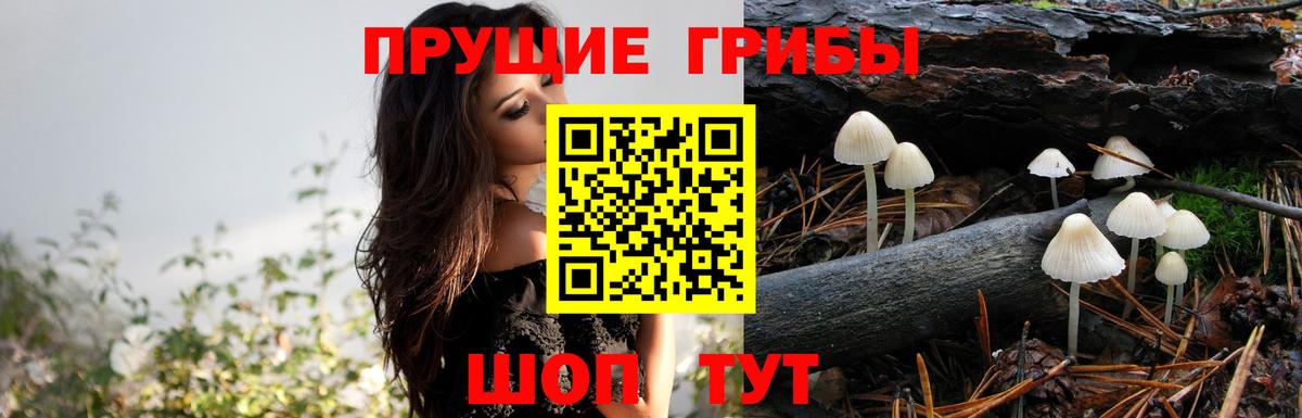 Конопля  НБОМе  Вход с VPN  Хабаровск  ГАШ  Меф МЯУ МЯУ  